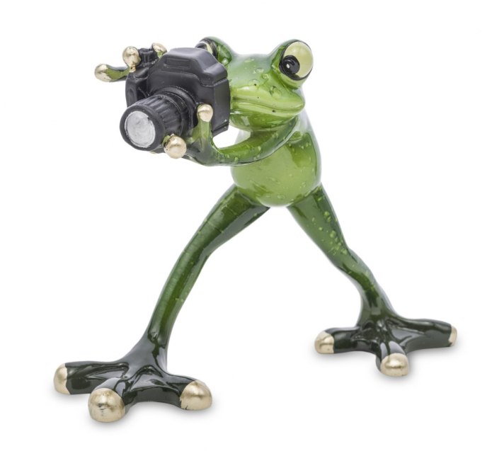 Figurka żaba Fotograf robi zdjęcia